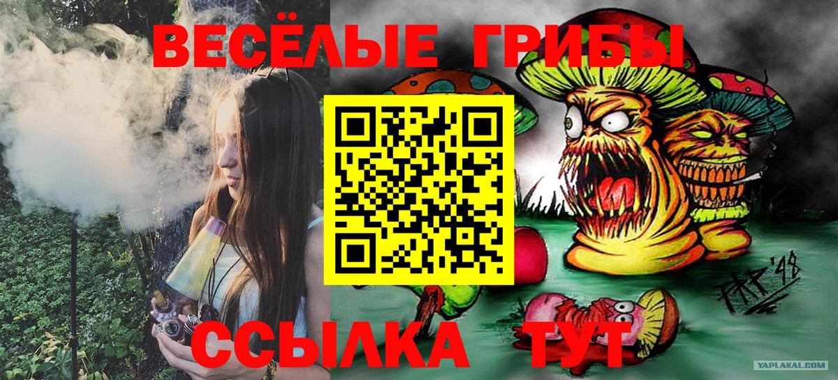 Наро-Фоминск  Псилоцибиновые грибы MAGIC MUSHROOMS  Вход с VPN 